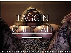 Taggin Cheetah's voluptuous journey in an intense interracial encounter