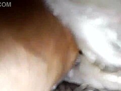 Ebony MILF gets her pussy filled with cum