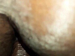 Close-up van een harige kont van een dikke dikke vrouw die gevuld wordt met een grote zwarte lul
