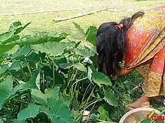 印度素人Boudi用大 鸡 巴和孟加拉国阴茎在行动中
